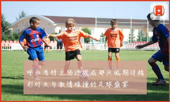 呼和浩特主场迎战成都兴城期待精彩对决与激情碰撞的足球盛宴