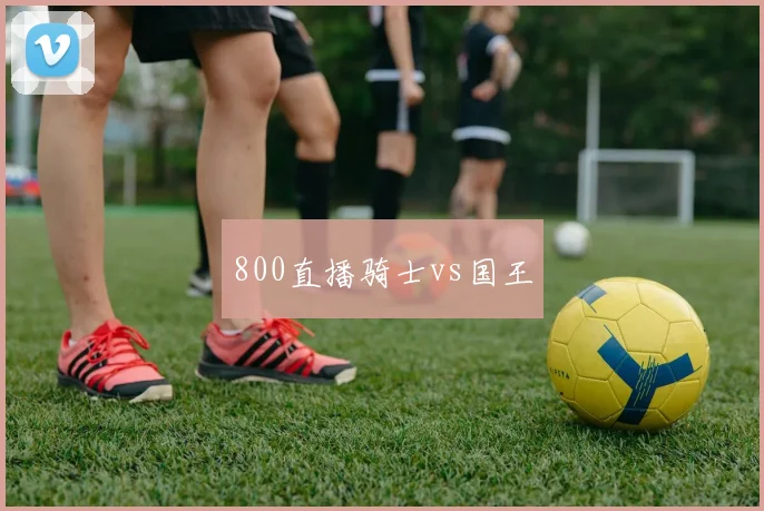 800直播骑士vs国王