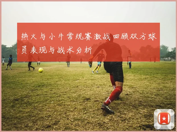 热火与小牛常规赛激战回顾双方球员表现与战术分析