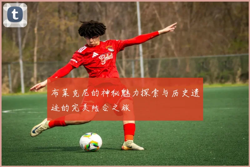 布莱克尼的神秘魅力探索与历史遗迹的完美结合之旅